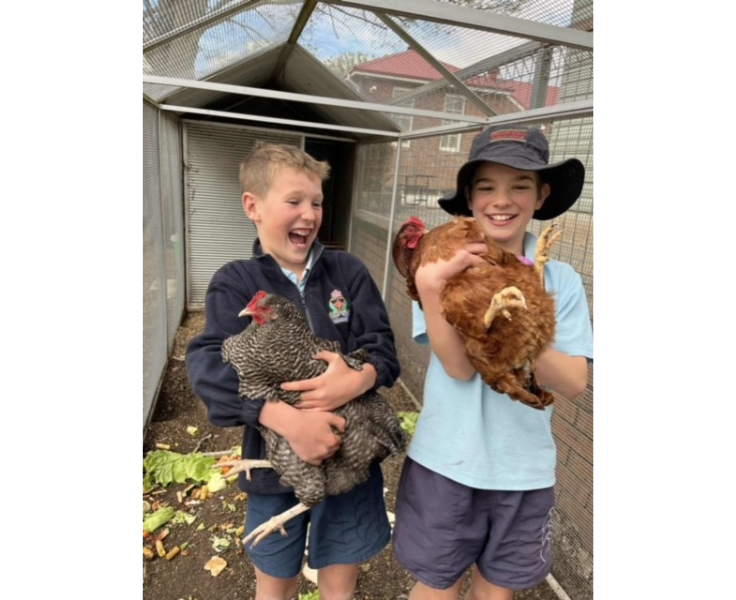 Two boys holding chickens and smiling